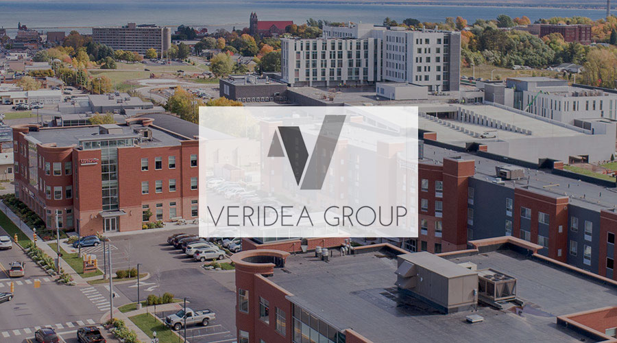 Veridea Group Logo Header
